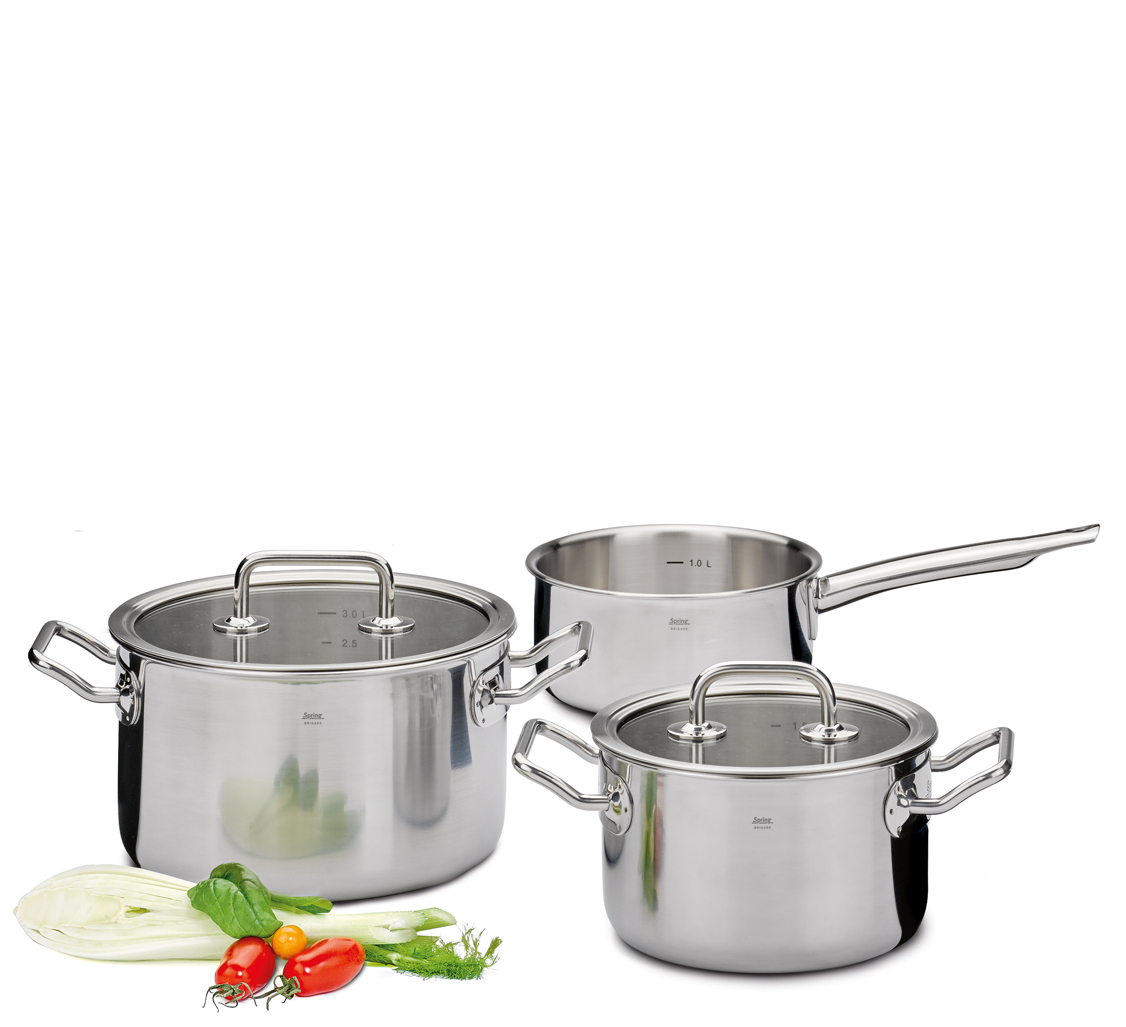 Topf-Set mit Glasdeckel BRIGADE BASIC 3-teilig